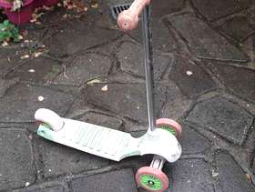Freecycle Scooter