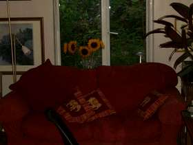 Freecycle Two-seater sofa bed