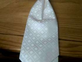 Freecycle Men Cream Diamond Cravat