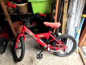 Freecycle Falcon bike