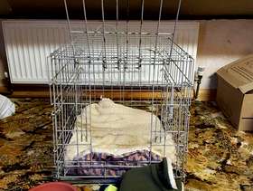 Freecycle Small dog cage, bed, coats, bowl