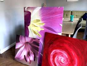 Freecycle Canvases