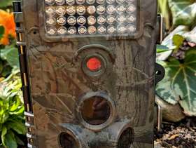 Freecycle Night wildlife camera