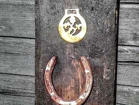 Freecycle Garden decoration, wall hanging