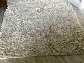 Freecycle Rug