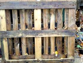 Freecycle Two timber pallets