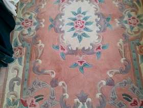 Freecycle Rug