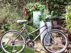 Freecycle Ladies Mountain bike