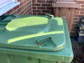 Freecycle Free to a good home, two wheeley bins!
