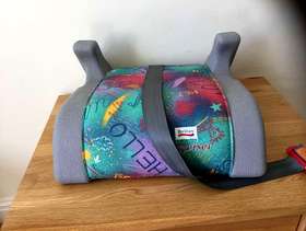 Freecycle Car booster seat