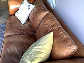 Freecycle Leather Two Seater Sofa