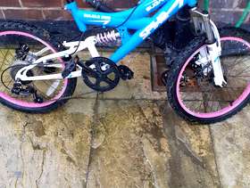 Freecycle Cycle