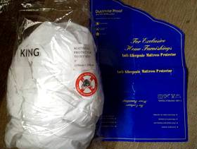Freecycle King size mattress protector