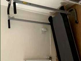 Freecycle Treadmill