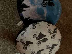 Freecycle Official ET cushions