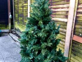 Freecycle Christmas tree