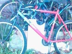 Freecycle Bicycles.