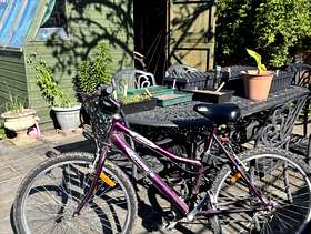 Freecycle Lady’s bike