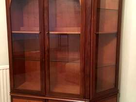Freecycle Dispaly cabinet