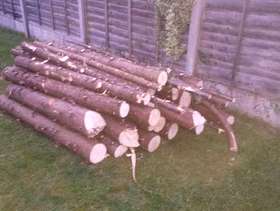 Freecycle Free logs