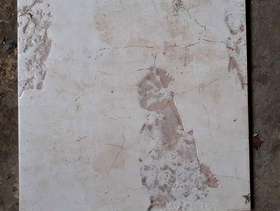 Freecycle Floor tiles