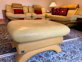 Freecycle 5 peice Nicoletti Italian leather sofa set