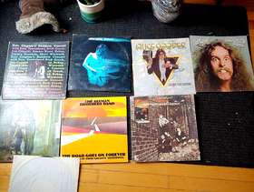 Freecycle Old Vinyl LP's