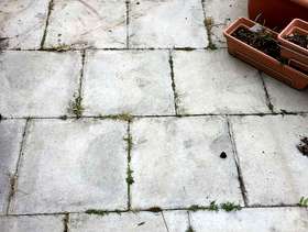 Freecycle Paveing slabs