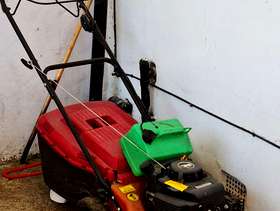 Freecycle Mountfield SP184 Self propel lawnmower