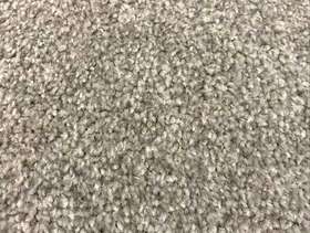 Freecycle Grey Carpet