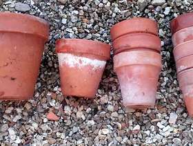 Freecycle 10 terracotta plant pots