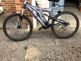 Freecycle Mens Bicycle
