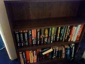 Freecycle Bookcase