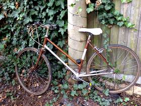 Freecycle Bicycle