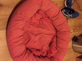 Freecycle Dog's Bed