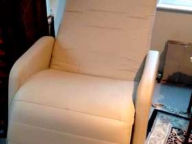 Freecycle Reclining chair