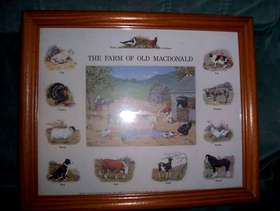 Freecycle Framed picture