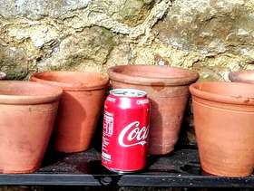 Freecycle 6 vintage terracotta plant pots