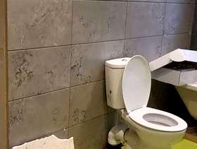 Freecycle Toilet. Only used for a week