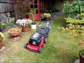 Freecycle Mountfield HP454 petrol rotary mower
