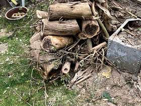 Freecycle Free logs