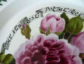 Freecycle PORTMEIRION 10.5" Millennium Rose Plate, second quality, Limited Edition (2000)