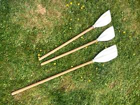 Freecycle 3 oars