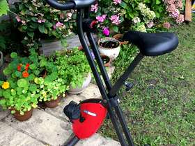 Freecycle Exercise bike