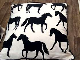 Freecycle Cushions