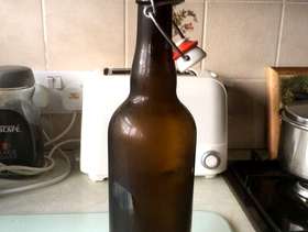 Freecycle Beer/Wine making bottles