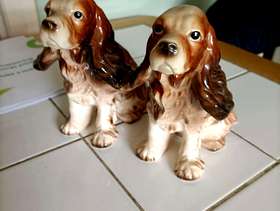 Freecycle Dogs anment