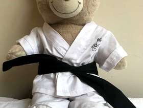 Freecycle Vintage Build a Bear "Karate Bear"