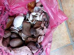 Freecycle Pebbles and shells