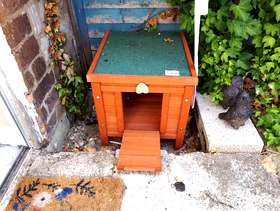 Freecycle Small outdoor pet box